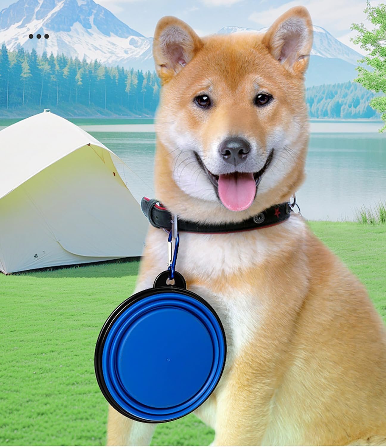 YSIMPAONK Dog Bowl Pet Collapsible Bowls, 2 Pack Collapsible Dog Water Bowls for Cats Dogs, Portable Pet Feeding Watering Dish for Walking Parking Traveling with 2 Carabiners (Blue+Green, Large1000ml)
