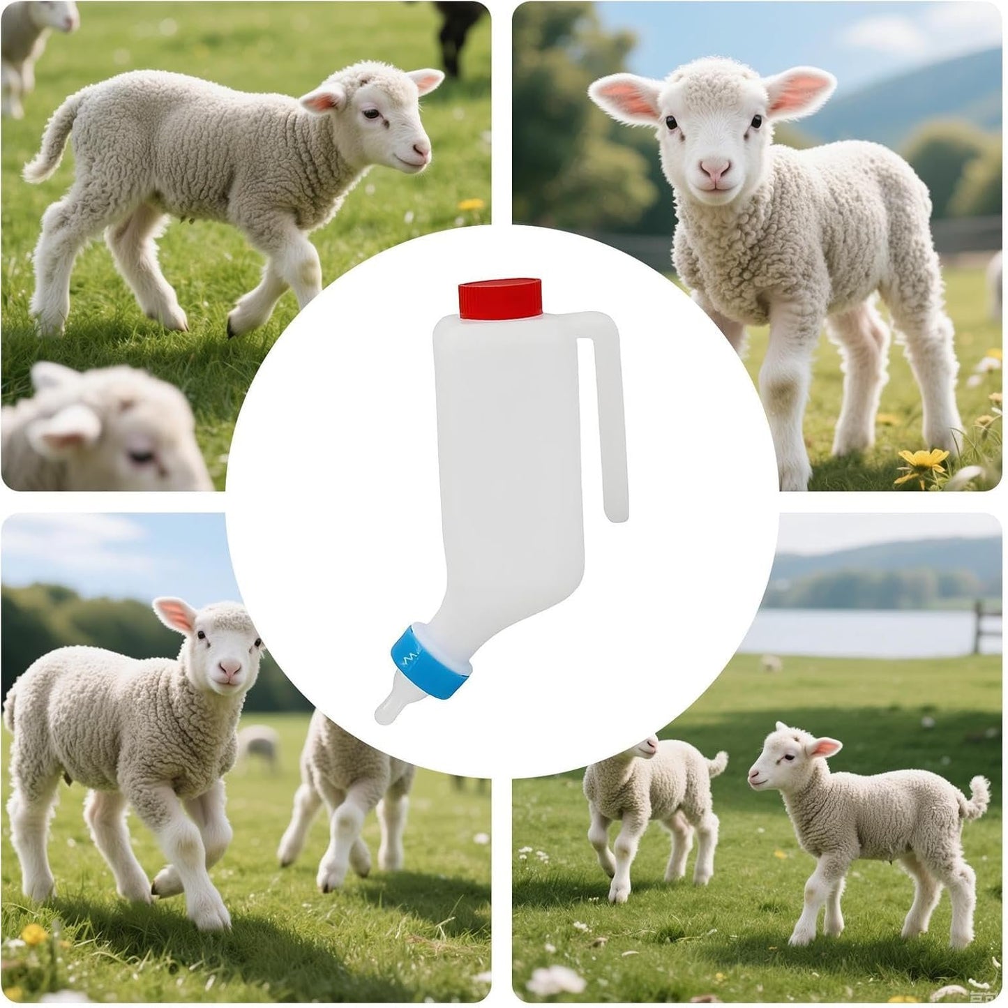 Lamb Feeding Bottle - Lamb Feeding Milk Bottle with Measurements - Large Capacity Kid Goat Drinking Feeder Animal Milk Nipple for Miniature Horse Farm Calves