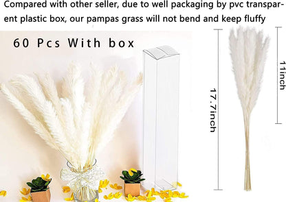 60 Pcs White Pampas Grass,17 inch/45 cm Natural Dried Pampas Grass Branches Decor for Home Kitchen Garden Party Photographing Flower Arrangement Vase Decor