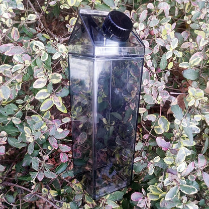 1000ml/34oz Cute Leakproof Clear Milk Carton Water Bottle Portable Drinkware for Outdoor Climbing Tour or Camping