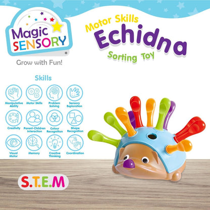 Magic Sensory Echidna Hedgehog Toy â€“ Montessori STEM Fine Motor Skills & Counting Baby Toy â€“ Interactive Educational Colour Sorting Sensory Toys for Toddlers 1-3 â€“ 14 Piece Set