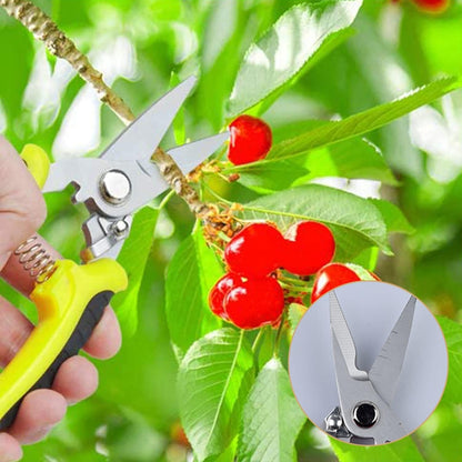 3 Pack Pruning Shears Set, Stainless Steel Garden Clippers with Safety Lock, Professional Shock-Absorbent Hand Garden Shears for Flowers and Small Garden (Red、Yellow and Green)