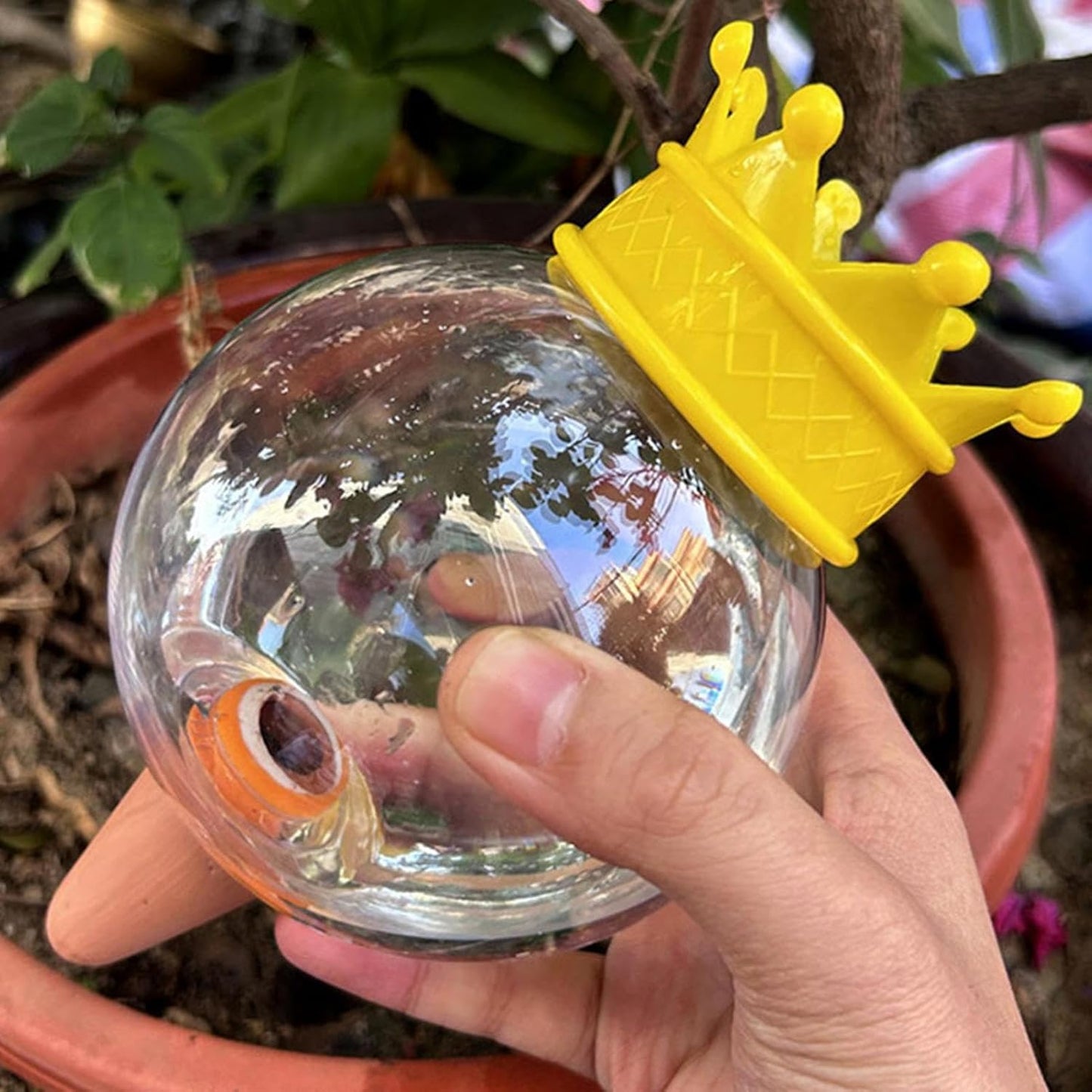 Plant Watering Devices – Self Watering Feeding System and Self-Watering Globe | Automatic Drip Irrigation Tool for Indoor Outdoor Plants, Succulents, and Garden Use (2-Pack)