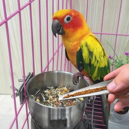 Bird Food Scoop | with Long Handle Hand Food Adding Feeding Tableware Spoon,Bird Parrot Feeder Spoon Stainless, Parrot Feeding Scoops, Birds Feeding and Watering Supplies Pochy