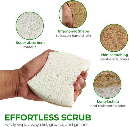 AIRNEX 12 Pack Biodegradable Natural Kitchen Sponges - Non Scratch Cellulose and Coconut Dish Sponges - Eco Friendly Sponges for Dishes with Dish Scrubber - Odourless Dual Sided Multipurpose Sponges