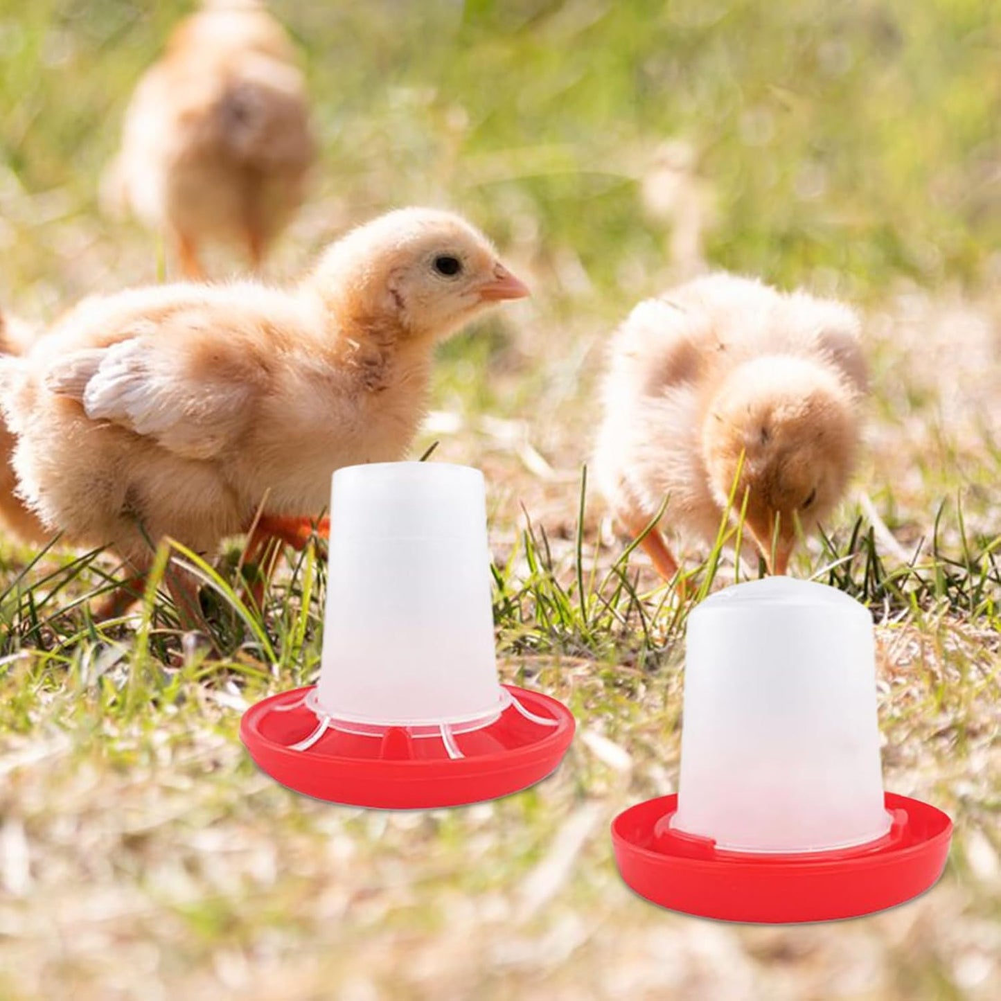 Chicken Water Feeder,Chick Feeder and Waterer Set | Poultry Feeding & Watering Supplies for Farm Pet Outdoor Baby Barn Family Livestock Friends