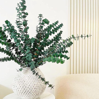 Large Package Dried Preserved Eucalyptus Stems Shower Bundle, 30 Pcs 17" 100% Natural Fresh Eucalyptus Plant, Real Eucalyptus Leaves Branches, Gift for Mom, Vase Filler, Flowers Arrangement Home Decor