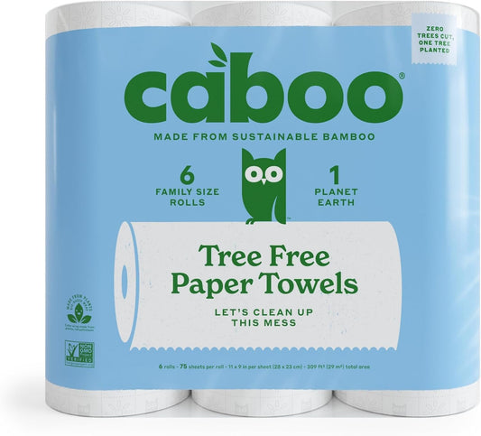 Caboo Tree Free Paper Towels, 6 Rolls, Earth Friendly Sustainable Kitchen Paper Towels with Strong 2 Ply Sheets
