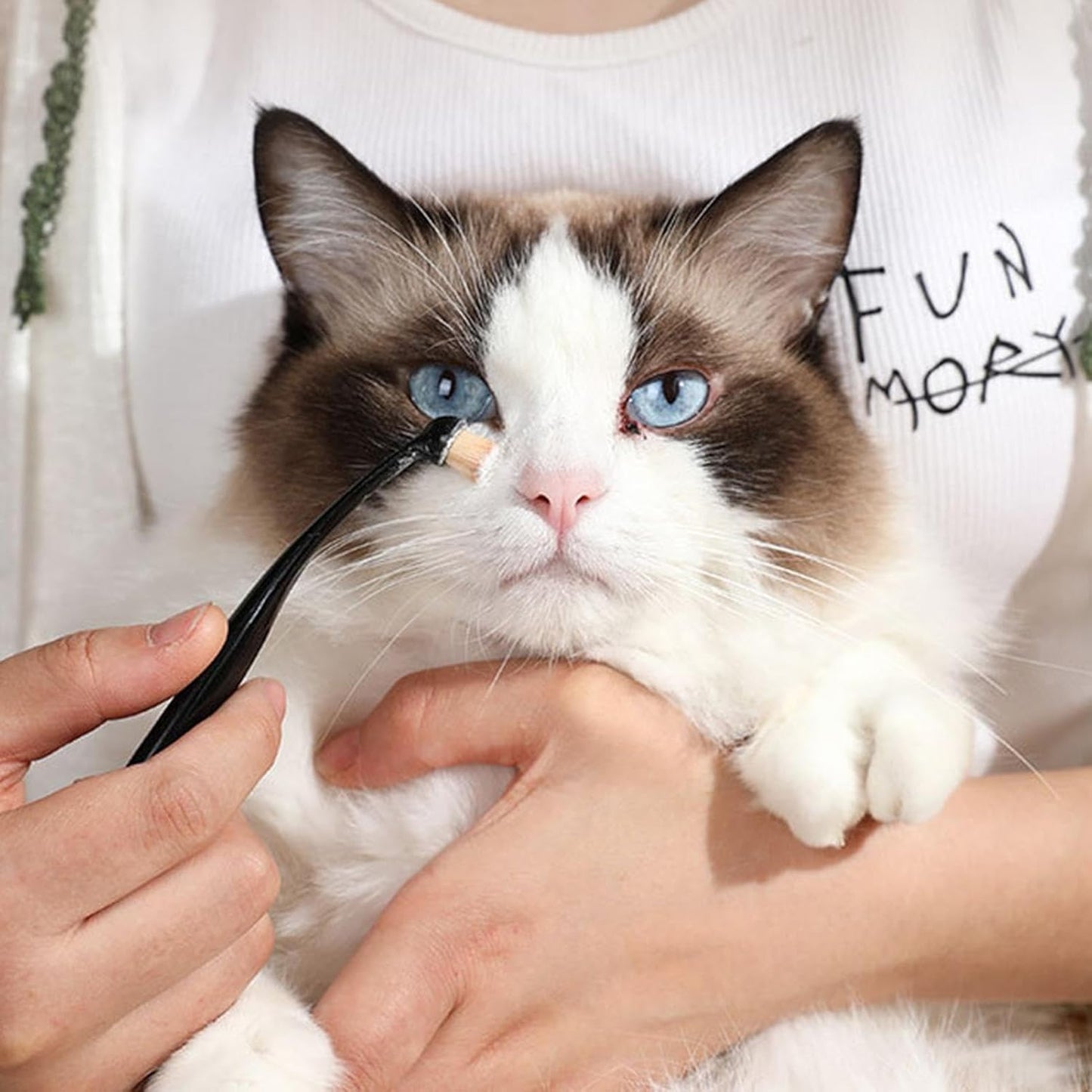 Tear Stain Brush, Dog Tear Stain Remover, Comfortable Pet Eye Clean Brush, Pets Grooming Comb, Fiber Cat Tear Stain Brush, Tear Mark Cleaning Comb, Easy Eye Hygiene Brush For Pets Dogs Cats