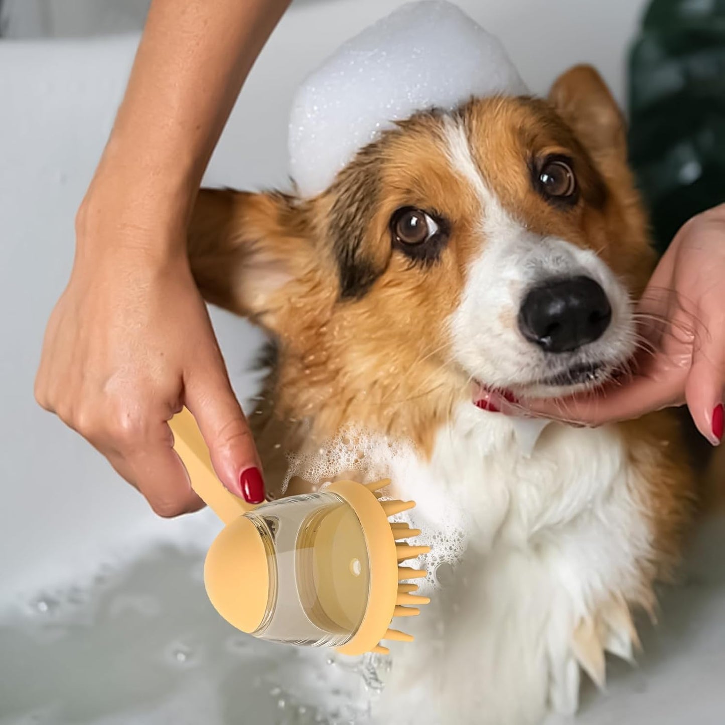Dog Bath Brush, non Slip Dog Shampoo, 7,32 x 2,95 in Brush with Soap, Dispenser Ergonomico Pet, Cleaning Tool Bathing for Washing, Massaggio, Pet Grooming, Bath Time Essentials