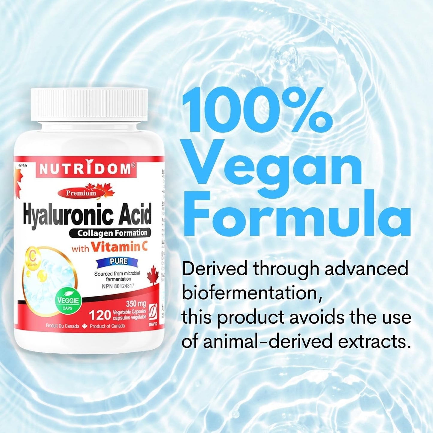 Nutridom Hyaluronic Acid Supplements 200mg with Vitamin C (120 count) Vegan, Non-GMO, Gluten-free, Dairy-free, and Soy-free