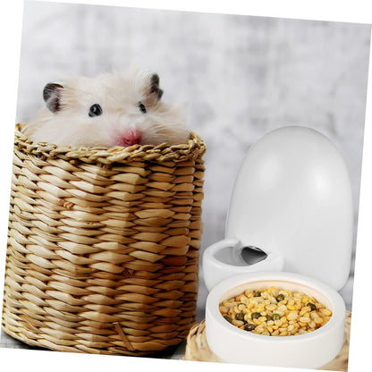 ERINGOGO 3Pcs Small Animal Feeding and Watering Set Durable Food Feeder Water Bottle for Hedgehog