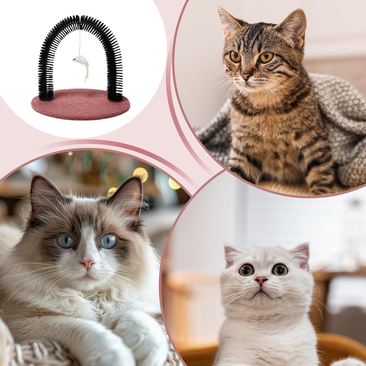 Cats Groomer, Cat Arch Grooming Brush, Scratching Hair Massager, Bristle Tools for Shedding and Cleaning, Suitable Kittens, Cat Rabbits, Durable & Hygienic Design
