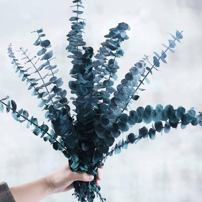 Preserved Dried Eucalyptus Stems Bundle - 12 PCS Blue Eucalyptus for Shower, 17" Natural Eucalyptus Bundle Real Greenery Fresh Leaves Plants, Aromatherapy SPA, Wedding Arrangements, Home Decor