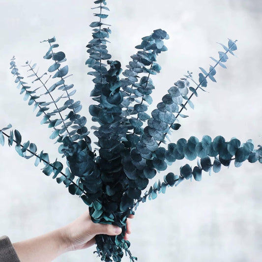 Preserved Dried Eucalyptus Stems Bundle - 12 PCS Blue Eucalyptus for Shower, 17" Natural Eucalyptus Bundle Real Greenery Fresh Leaves Plants, Aromatherapy SPA, Wedding Arrangements, Home Decor