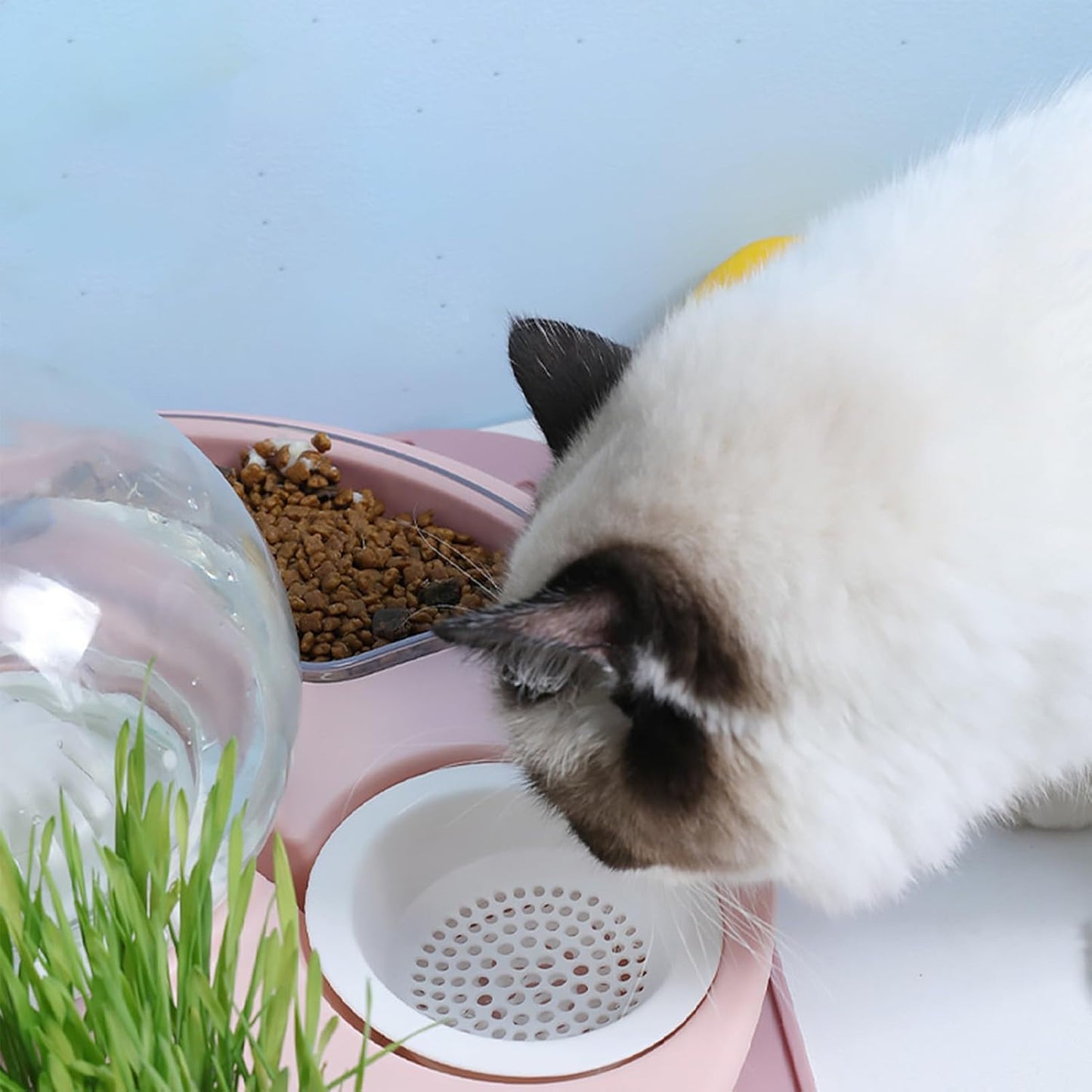 Ciotola Di Gatto Autoc Ciotola Di Cibo Per Gatti: Piatti Di Gattino Per Alimenti E Acqua, Ciotola Di Irrigazione Per Animali Domestici Multifunzionale, Ricarica Acqua Automatica, Di