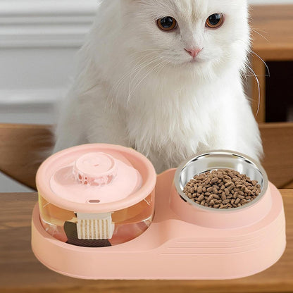 Mangiatoia per gatti e distributore di acqua, 2 in 1, distributore automatico di acqua per gatti, forniture per l'alimentazione e l'irrigazione degli animali domestici per la gestione di allevamenti