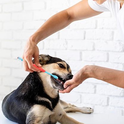 Sprofondimi di denti per cani - Spazzo da dente cucciolo a doppia testa | PROPRIETÀ DI CARE DENTALE PET | Strumento di pulizia multi-pet per la salute orale | Ideale per la toelettatura da esterno per
