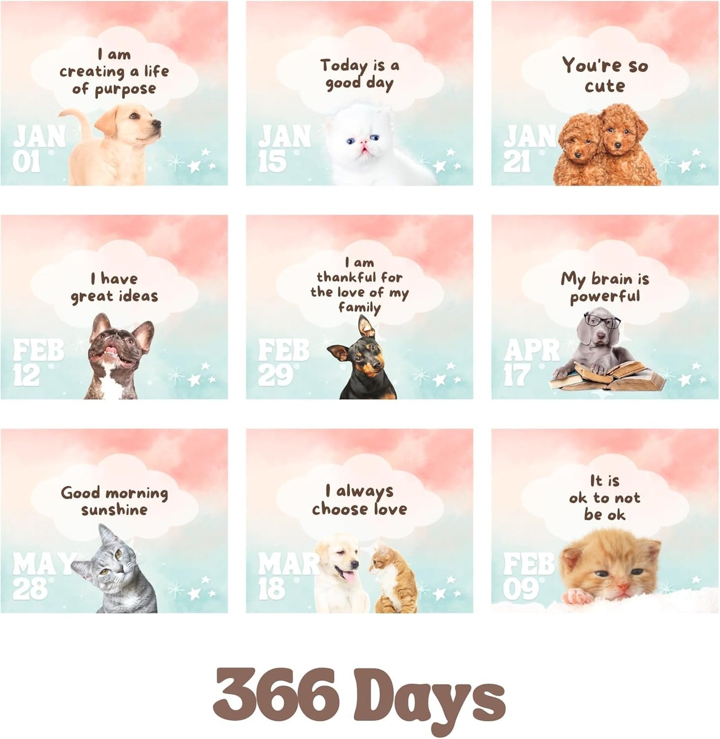 Catchyourdreams Daily Motivational Calendar - Perpetual Flip Calendar with Positive Affirmations to Start Your Day With a Smile - Inspirational Decor Gift for Women Dog Cat Desk Accessories