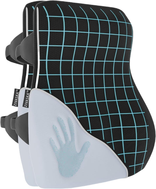 [2025 NEW] ZIVASKA Lumbar Support Pillow | Memory Foam Back Cushion for Back Pain Relief | Improves Posture | Mesh Cover |Double Adjustable Straps | For Office, Gaming Chairs, Car Seats, Recliners (2)