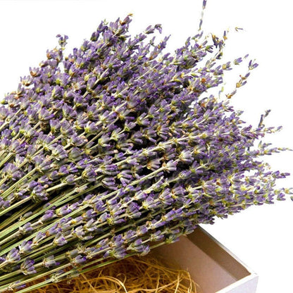 TooGet Natural Lavender Bundles, Freshly Harvested 200+ Stems Dried Lavender Bunch 16" - 18" Long, Decorative Flowers Bouquet for Home Decor, Crafts, Gift, Wedding or Any Occasion