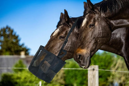 Nuburbur Horse Feed Bag for Grain, Medium, Heavy Duty Durable Mesh Horse Feeder with Adjustable Strap, Comfortable Neck, Reinforced Waterproof Bottom Horse Muzzle Feed Bag