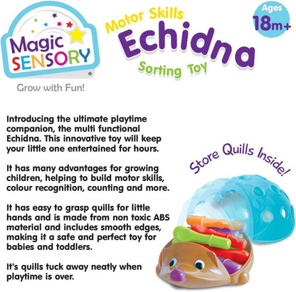 Magic Sensory Echidna Hedgehog Toy â€“ Montessori STEM Fine Motor Skills & Counting Baby Toy â€“ Interactive Educational Colour Sorting Sensory Toys for Toddlers 1-3 â€“ 14 Piece Set