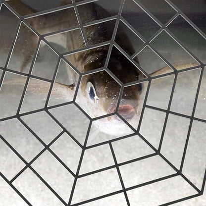 Pond Netting, Ponds Fish Protector Net, Hexagonal Mesh Garden Nettings, Shrimp and Safety Barrier, Ideal Protective Tool for Defending from Outdoor Predators, 26.8x26.8cm