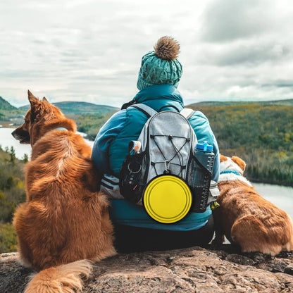 Collapsible Dog Bowls-2 Pack Large Size for Large/ Medium Dogs, Dog Travel Water Bowl, Dog Cat Portable Water Bowl, Dog Pet Feeding Watering Dish Outdoor Hiking Parking Traveling with 2 Carabiners