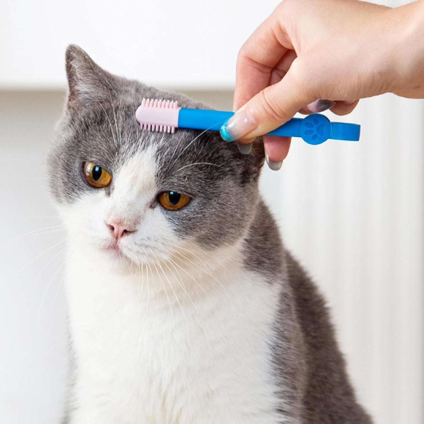 Pet Tear Stain Brush - Hair , Cat Groomer | Portable Dog Tears and Mucus Remover Designed for Effective Dirt Cleaning with Compact and Lightweight Design to Maintain Hygiene and Hygiene