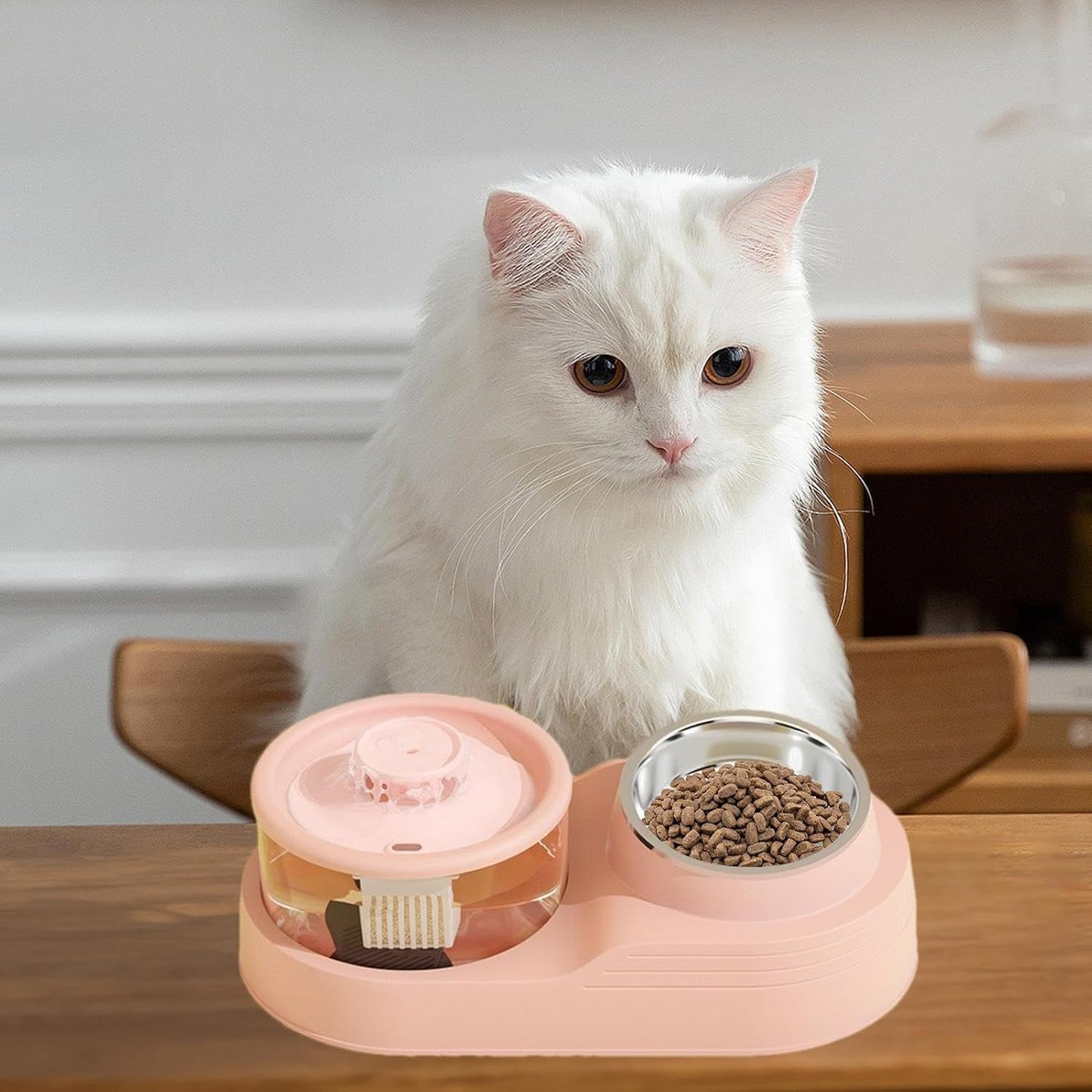 Mangiatoia per gatti e distributore di acqua, 2 in 1, distributore automatico di acqua per gatti, forniture per l'alimentazione e l'irrigazione degli animali domestici per la gestione di allevamenti