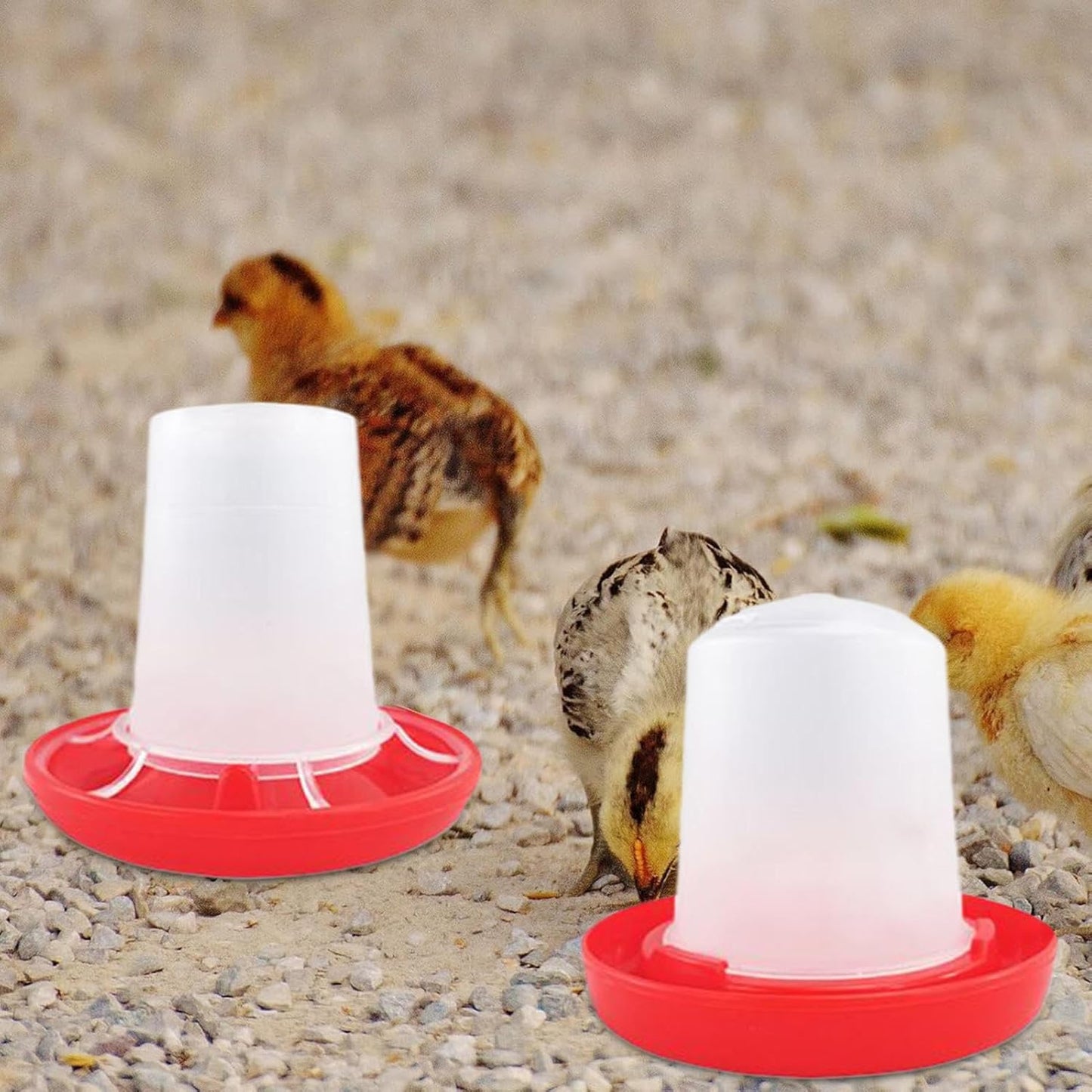 Chicken Feeder and Waterer Set | Automatic Chicken Feeders - Poultry Feeding & Watering Supplies for Farm Pet Outdoor Baby Barn Family Livestock Friends
