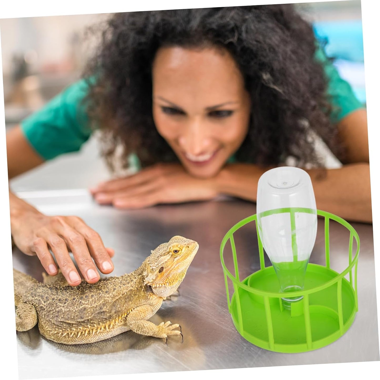 HANABASS Alimentatore Automatico di Acqua Ciotola d'Acqua per Lucertole Cibo per Rettili Ciotole d'Acqua Ciotola per L'alimentazione dei Rettili Ciotola d'Acqua di Rettile ABS Verde Chiaro