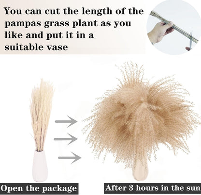 Artificial Pampas Grass Decor, 100 PCS Pampas Grass Contains Bunny Tails Dried Flowers, Reed Grass Bouquet for Wedding Boho Flowers Home Table Decor, Rustic Farmhouse Party (White and Brown)