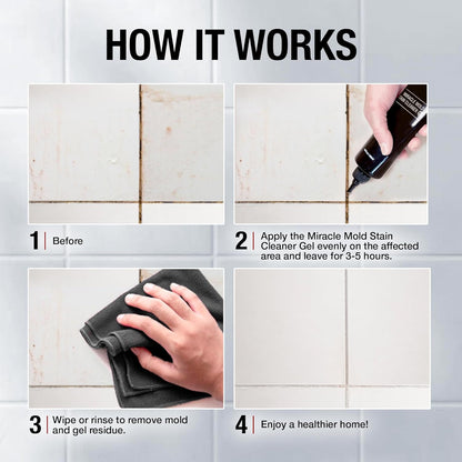GLASSGUARD Mould Remover Gel for Bathroom, Kitchen, Windows, Grout & Sealant (Pack of 1) | 300ml