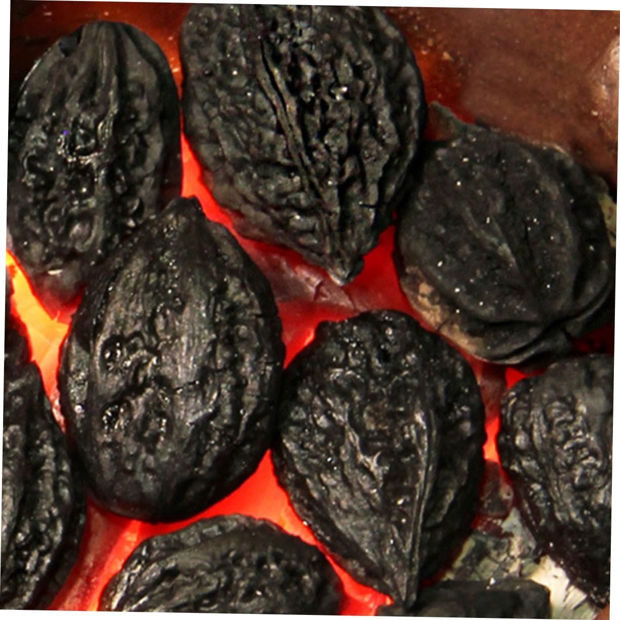 GANAZONO 2pcs 1 Fireplace Charcoals 1 Bag Grilling Charcoals for Outdoor Activities Household Use