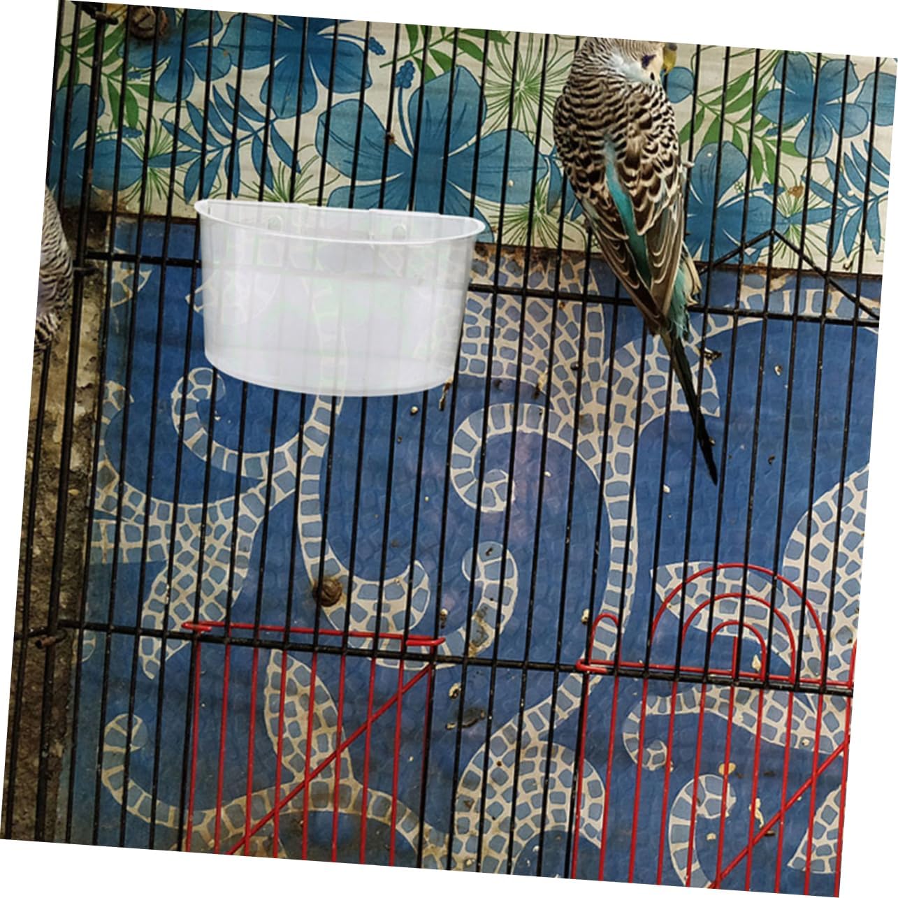 Generic Plastic Feeding Cups Bird Cage Bowl Chicken Rabbit Hutch Watering Supplies
