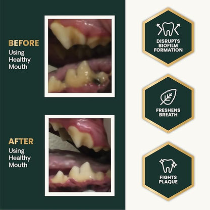 VetriScience Healthy Mouth Dog Dental Powder, Perio Support Clinically Tested Dental Powder for Dogs and Cats, Freshen Breath, Control Plaque & Tartar, Oral Health, 4.2 oz