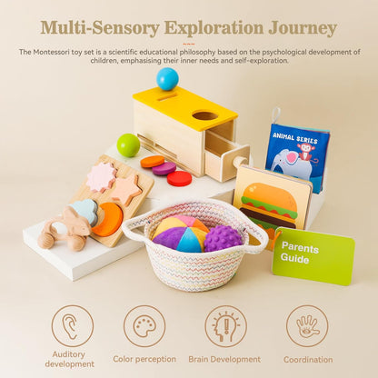 Montessori Toys for Babies 6-12 Months 6 in 1 Learning Educational Toy Set Wooden Toys Play Kit Includes Object Permanence Box, Touch & Match Board, Sensory Ball & Treasure Basket, Soft Baby Book