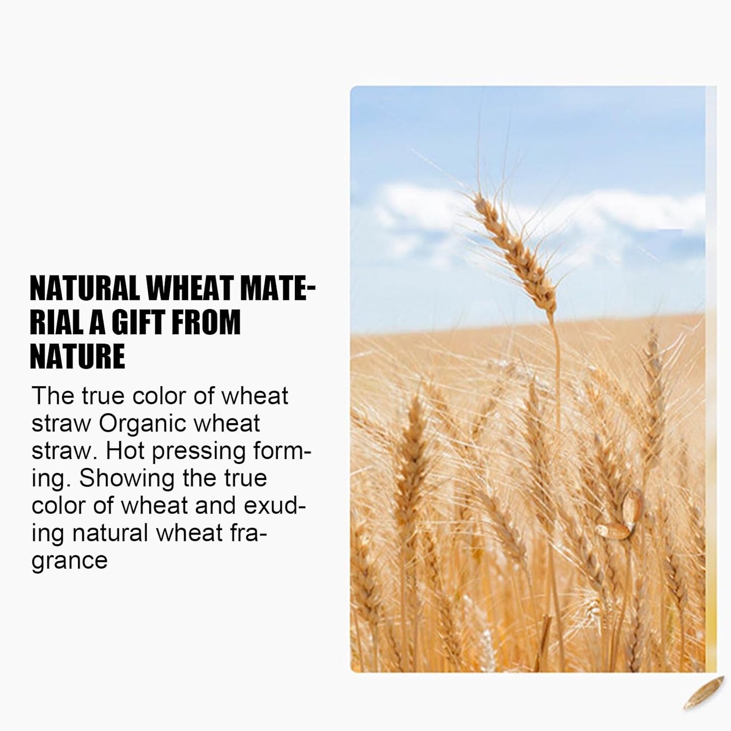 Générique Beach Toys, Lightweight Beach Games, Multi-Functional Educational Shovel Brick Model, Perfect for Summer Vacation, Poolside Play, and Water Park Adventures