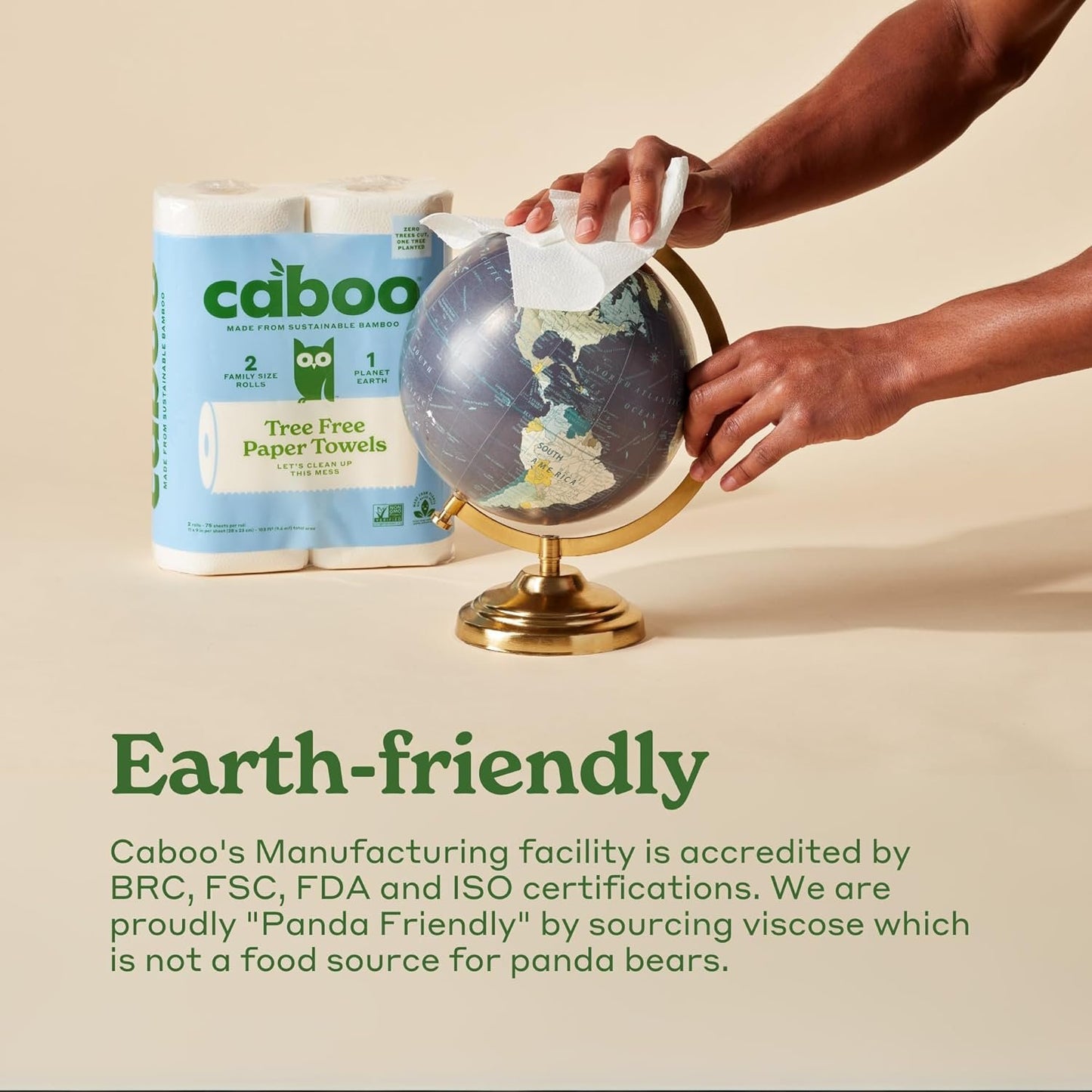 Caboo Tree Free Paper Towels, 6 Rolls, Earth Friendly Sustainable Kitchen Paper Towels with Strong 2 Ply Sheets