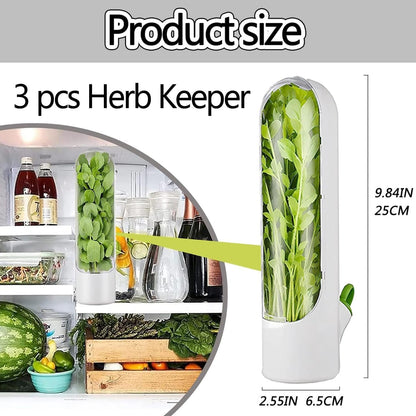 WADY 3 pcs Herb Keeper, Herb Saver for Refrigerator, Herb Storage for Cilantro,Parsley, Keeps Vegetables Fresh, Vegetable fresh keeping Bottle, Keeps Vegetables Fresh (Black)