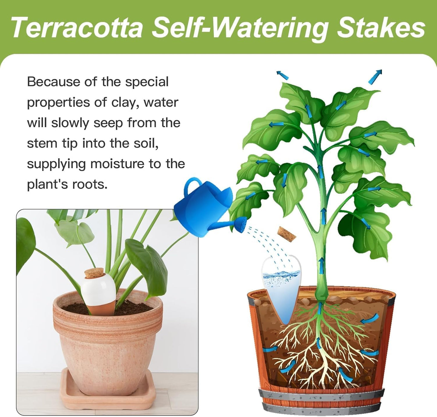 4 Pack Plant Self Watering Globes, Terracotta Watering Spikes, Slow Release Olla Pots Holds 16 oz, Drip Irrigiation Olla System
