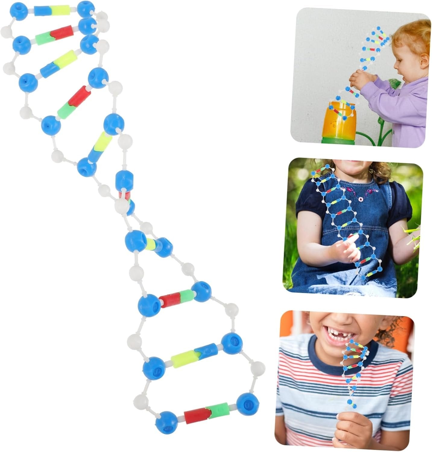 HOOTNEE 2pcs DNA Model Kit Double Helix Learning Tool for Science Education Student's Teaching Aid