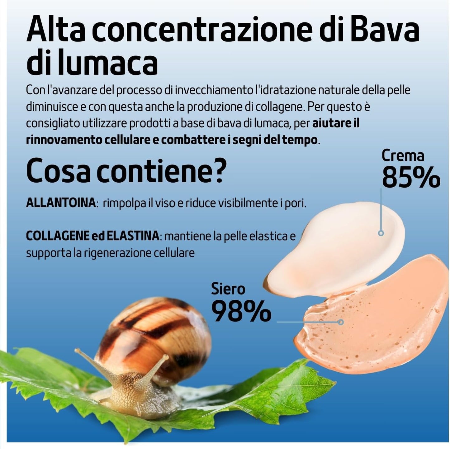 Snail Slime Face Cream 85% Anti-Wrinkle 100 ml with Hyaluronic Acid Vitamin C/E Argan and Revetrol, Natural Face Moisturizer for Radiant and Young Skin for Men and Women – PureLift by Phytoactive
