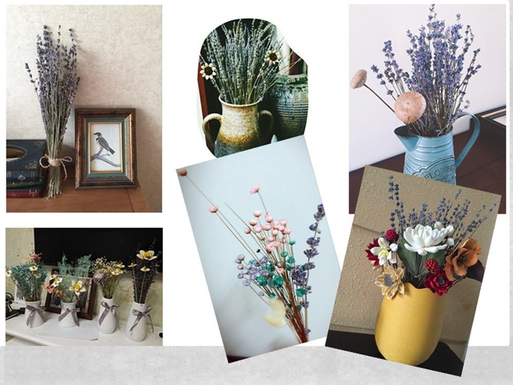 TooGet Natural Lavender Bundles, Freshly Harvested 200+ Stems Dried Lavender Bunch 16" - 18" Long, Decorative Flowers Bouquet for Home Decor, Crafts, Gift, Wedding or Any Occasion