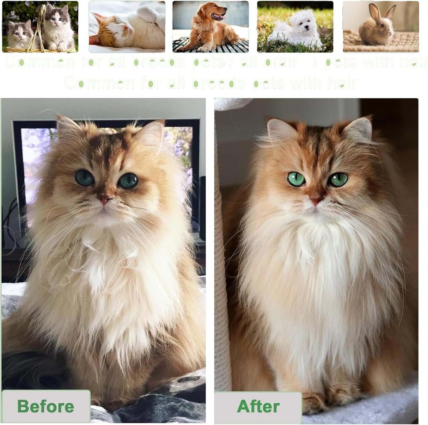 Pet Combing Brush - Cat Grooming Brush Self Cleaning Slicker Brush - Pet Hair Cleaner Brush - Cat Hair Brush Pet Massage Brushes for Cats Dogs (Green)