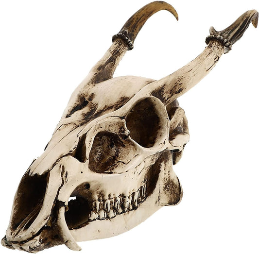 Oggettistica for la casa Teschio di mucca Decorazione teschio di capra Teschio di animale Testa di scheletro Scultura Resina Decorazione acquario Testa di animale Arte della parete Centrotavola da tav