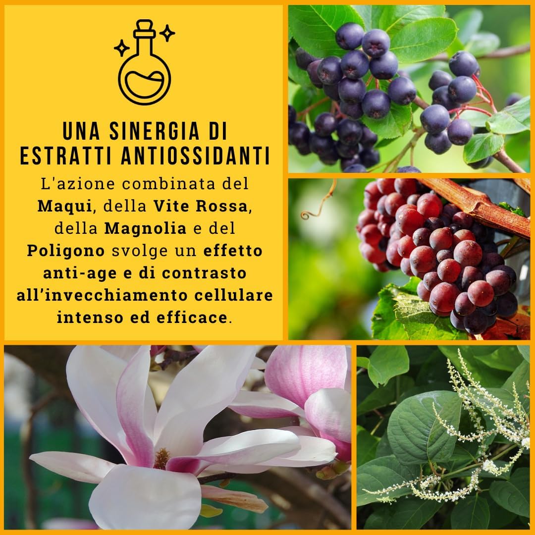 Anti-Age Antioxidant Supplement with Powerful and Natural Polyphenols | Skin Beauty and Longevity | Against Free Radicals and Wrinkles | With Maqui, Red Vine, Magnolia and Polygon | Elixir Power