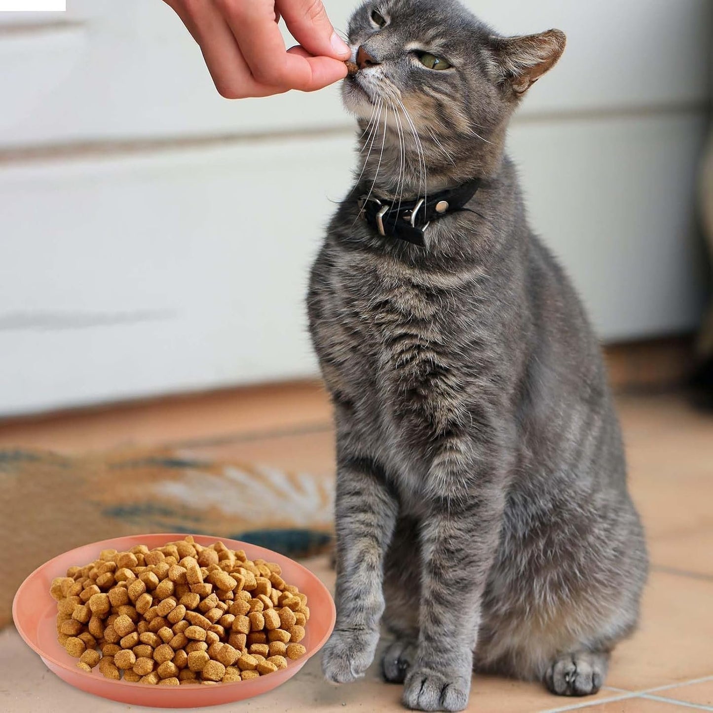 8pcs Cat Food Bowls, 6 inch Whisker Fatigue Cat Bowls for Food and Water Wheat Straw Shallow Wide Cat Dish Plates Colorful Kittens Wet Feeding Watering Tray for Pet Cats Dogs